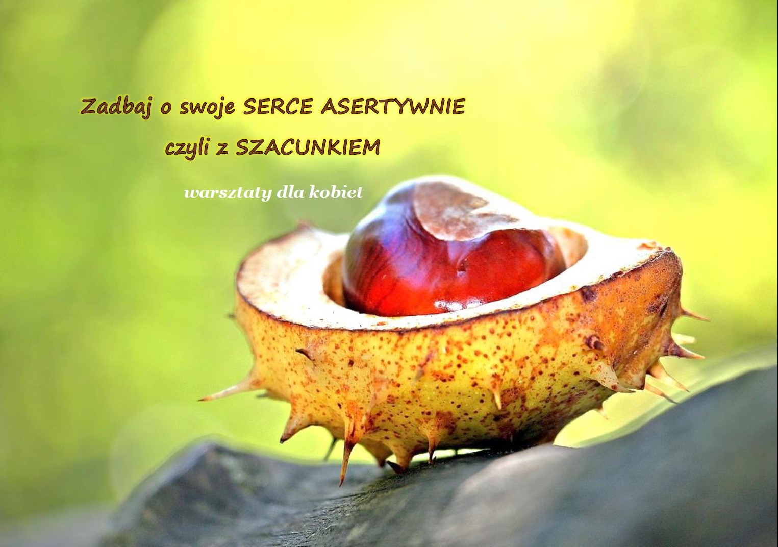 ZADBAJ o SWOJE SERCE ASERTYWNIE czyli z SZACUNKIEM